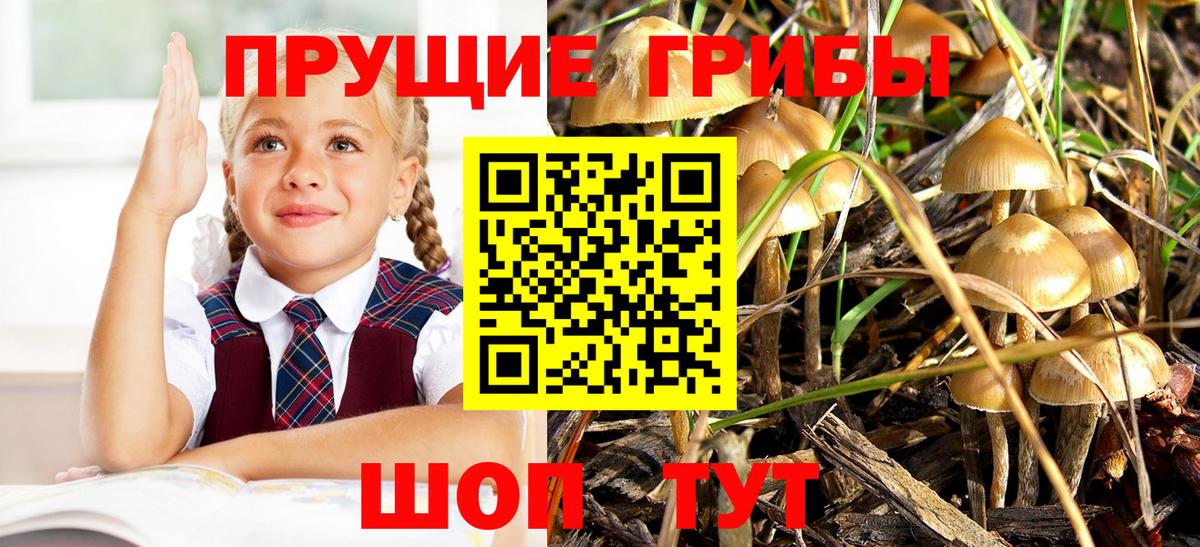 Псилоцибиновые грибы прущие грибы  Галлюциногенные грибы Magic Shrooms  Бутурлиновка  Вход с VPN 