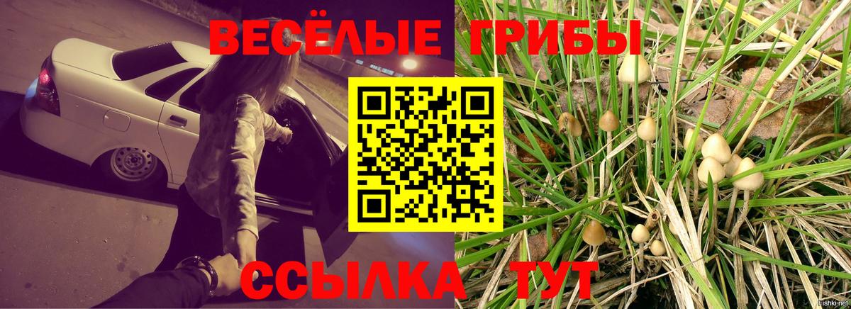 Псилоцибиновые грибы Magic Shrooms Бутурлиновка